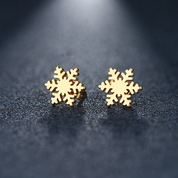 Stainless Steel Earring  Snow Gold And Silver Color
